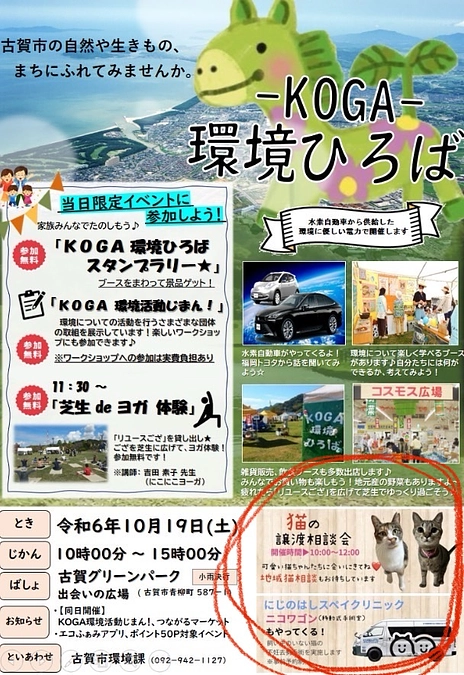 ふくにゃんとして第一回目の出張手術を行いました。第二回出張手術参加猫さん募集します！