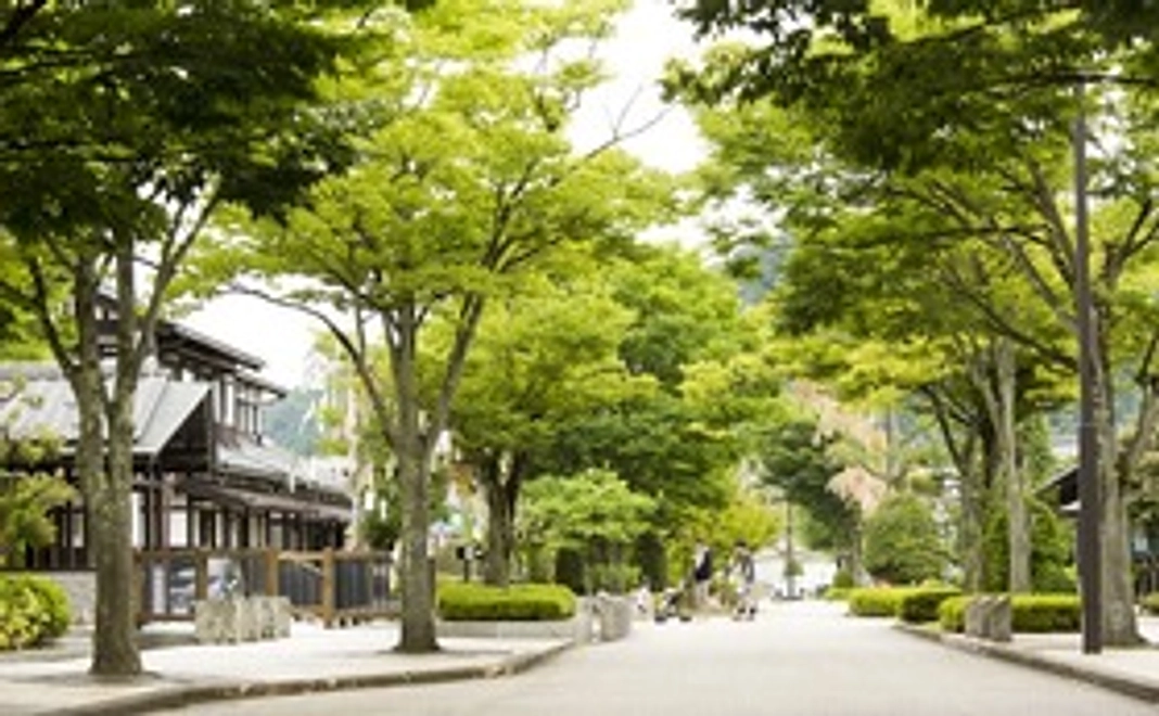 プロジェクト実施結果のご報告（お礼）