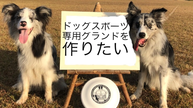 ドッグスポーツを通ししつけとマナーを学ぶグラウンドを作りたい