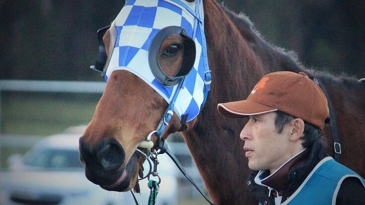 -馬主のかたち-競走馬たちの未来をつくる、馬主側からできること