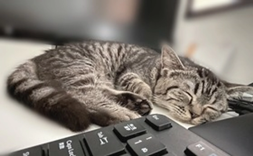 リターン不要 500円