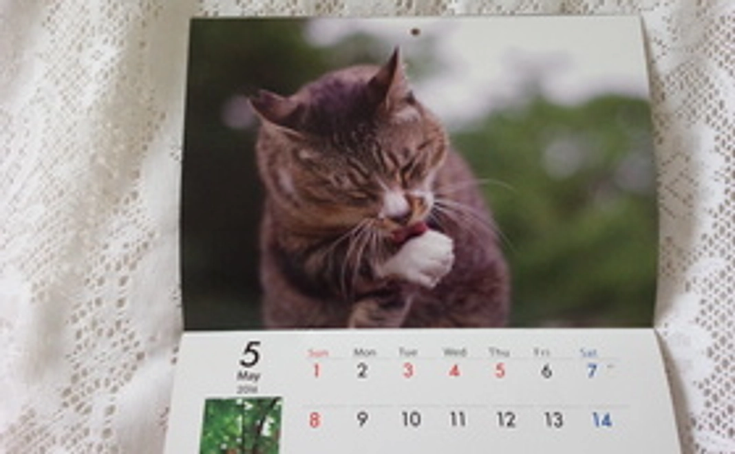 オリジナル地域猫カレンダーをお送り致します!