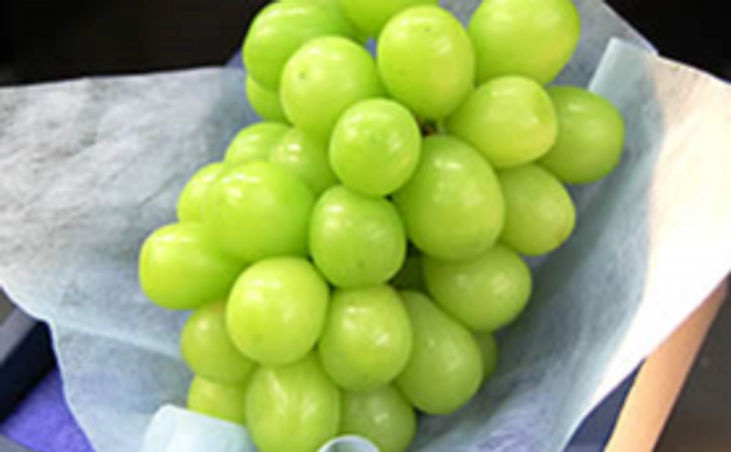 大房・大粒シャインマスカット３房と御礼のお手紙(割引購入特権付き)