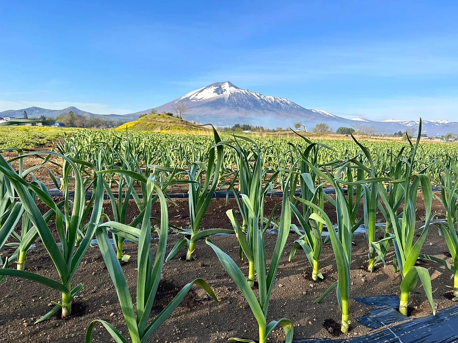 5/17 (水)  18:15〜IBCニュースエコーにて
