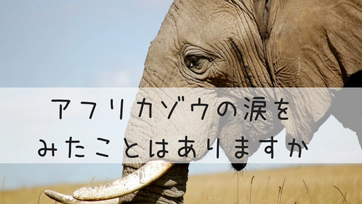 絵本「牙なしゾウのレマ」を全国へ！小学校読み聞かせキャラバン
