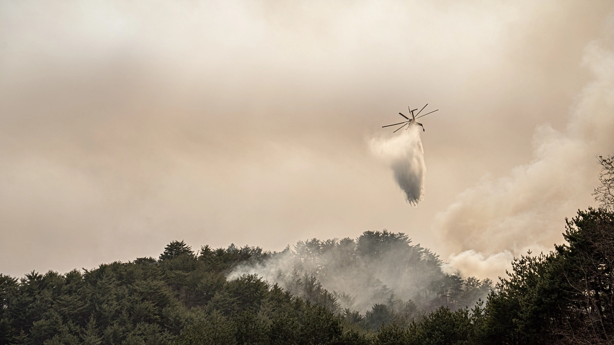 3月28日【韓国 山火事】発災から1週間、延焼が続く“韓国史上最悪の山火事”。空飛ぶ捜索医療団も出動