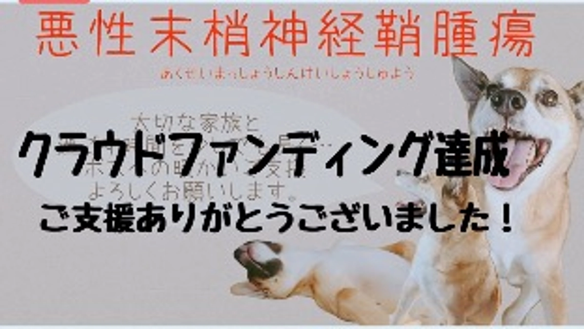 ㊗️達成しました㊗️