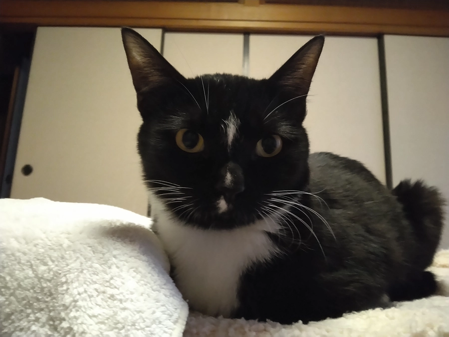 3/28はなちゃんの様子