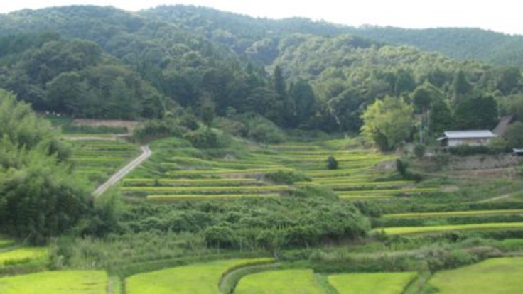大阪のてっぺんで自然豊かな風景みつけた!