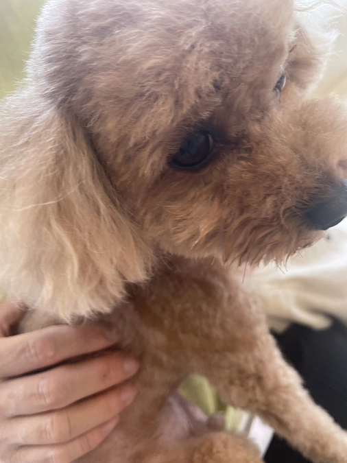 直接支援先をつくりました！