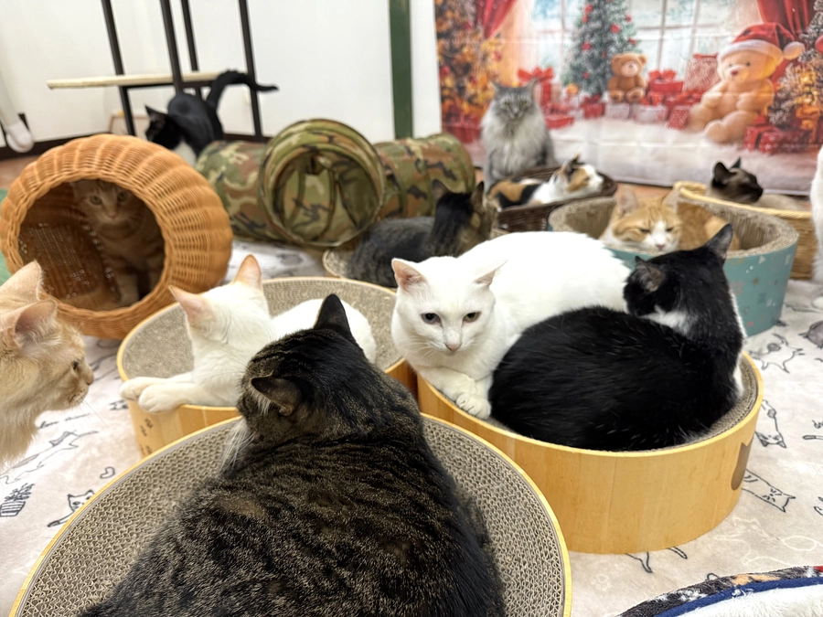 良いお年をお迎えください。