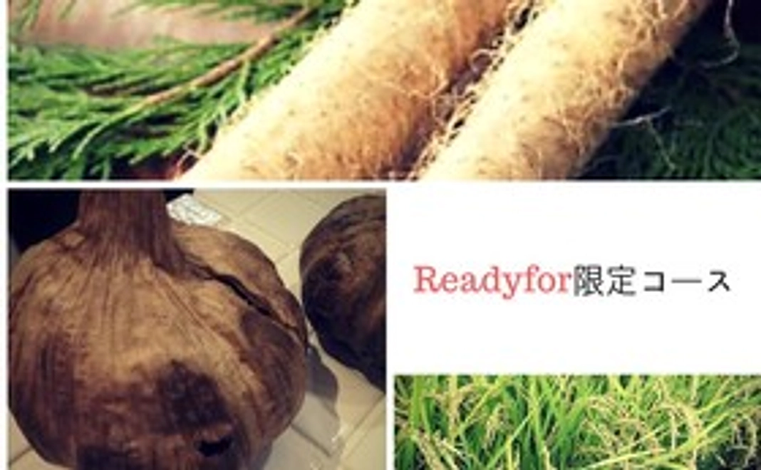 【限定】特製黒ニンニク＆とろろごを飯みんなで！味わいコース