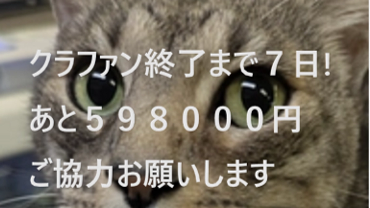 プロジェクト残り７日
