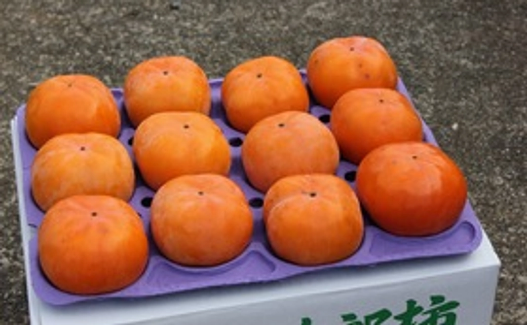 早生次郎柿（10kg箱）