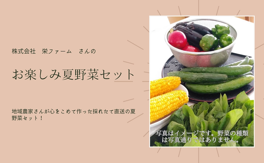 （株）栄ファームさんの「お楽しみ夏野菜セット」