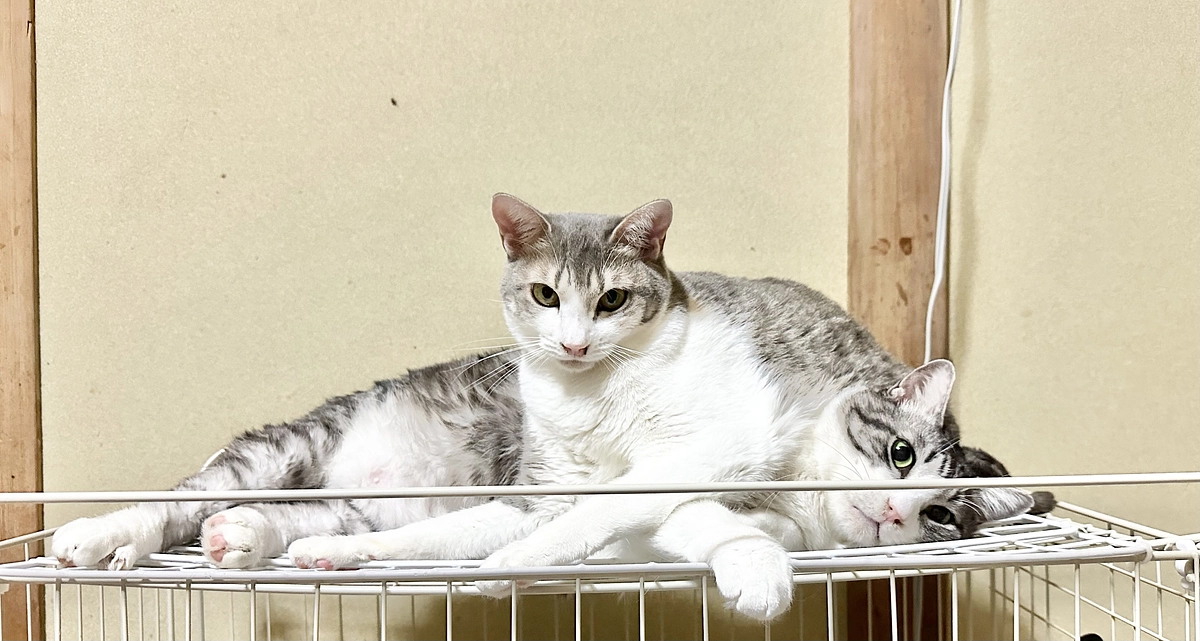 リフォーム見積書が届きました