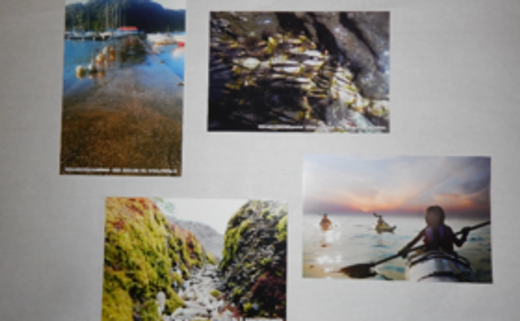 サンクスメール＆ポストカード4枚セット