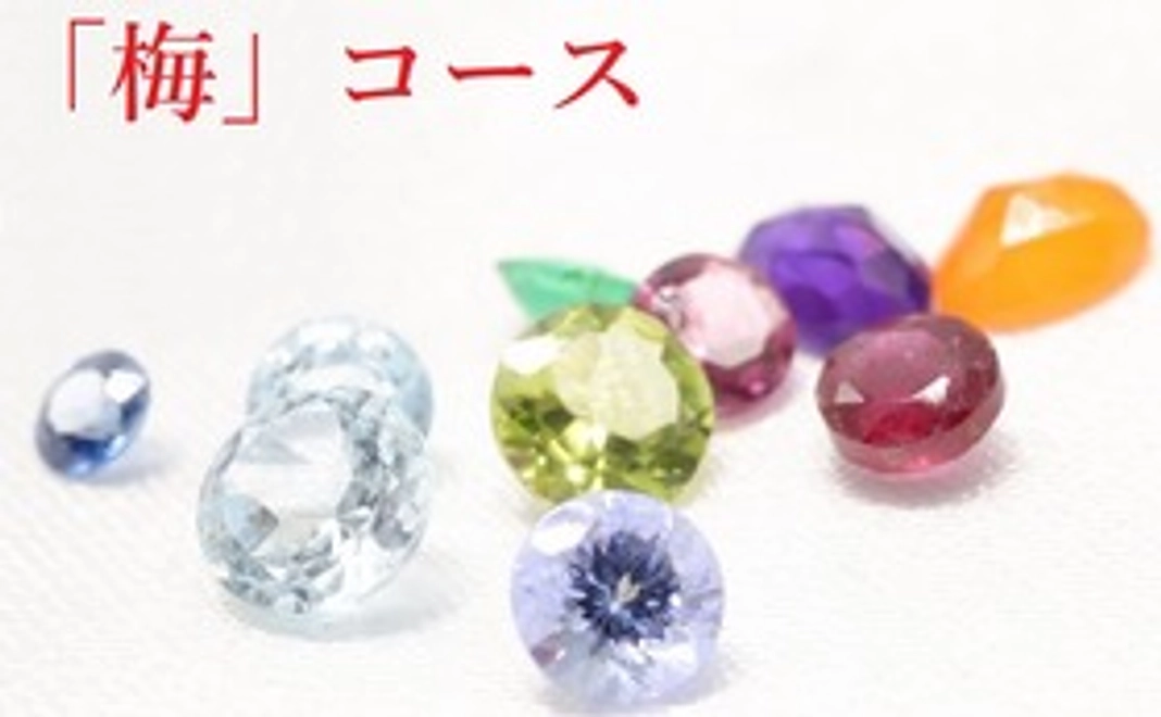 【限定200個】宝石福袋「梅」コース