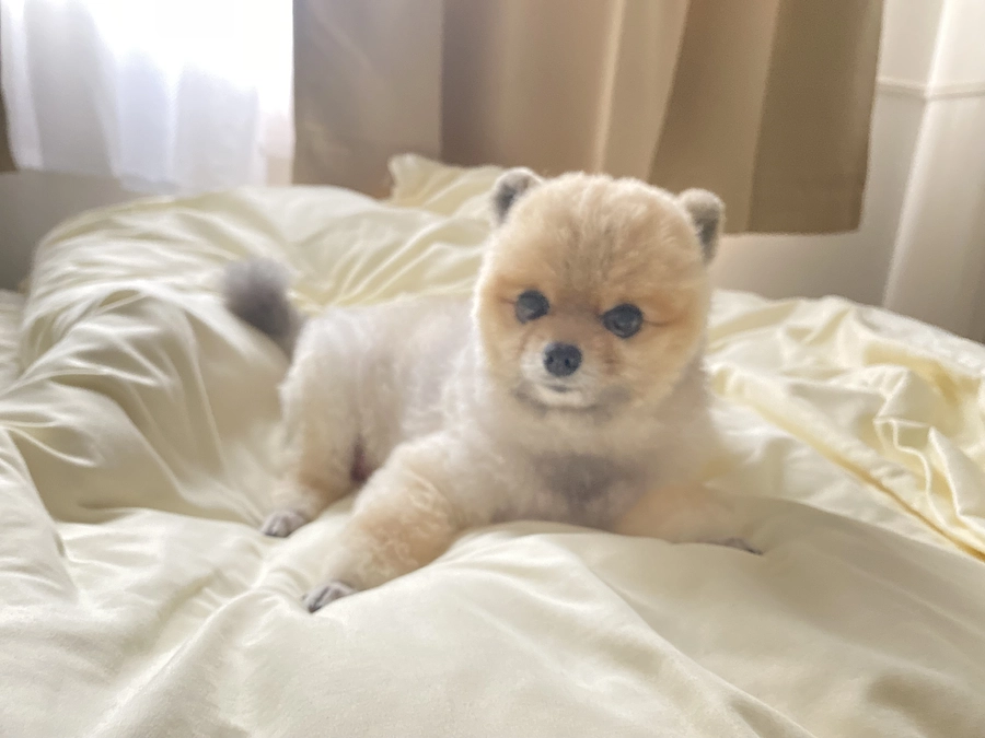 プロジェクト始動です。