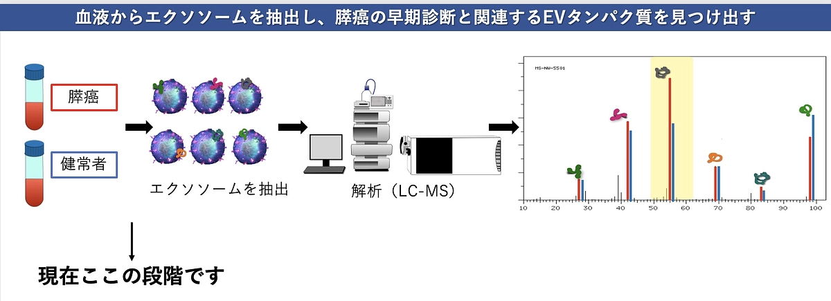 プロジェクト進捗状況