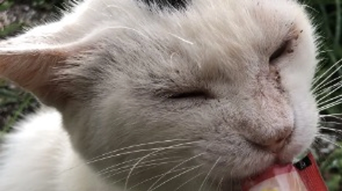 暑さに負けるな‼️