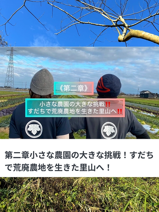 本日公開致しました🙏✨✨