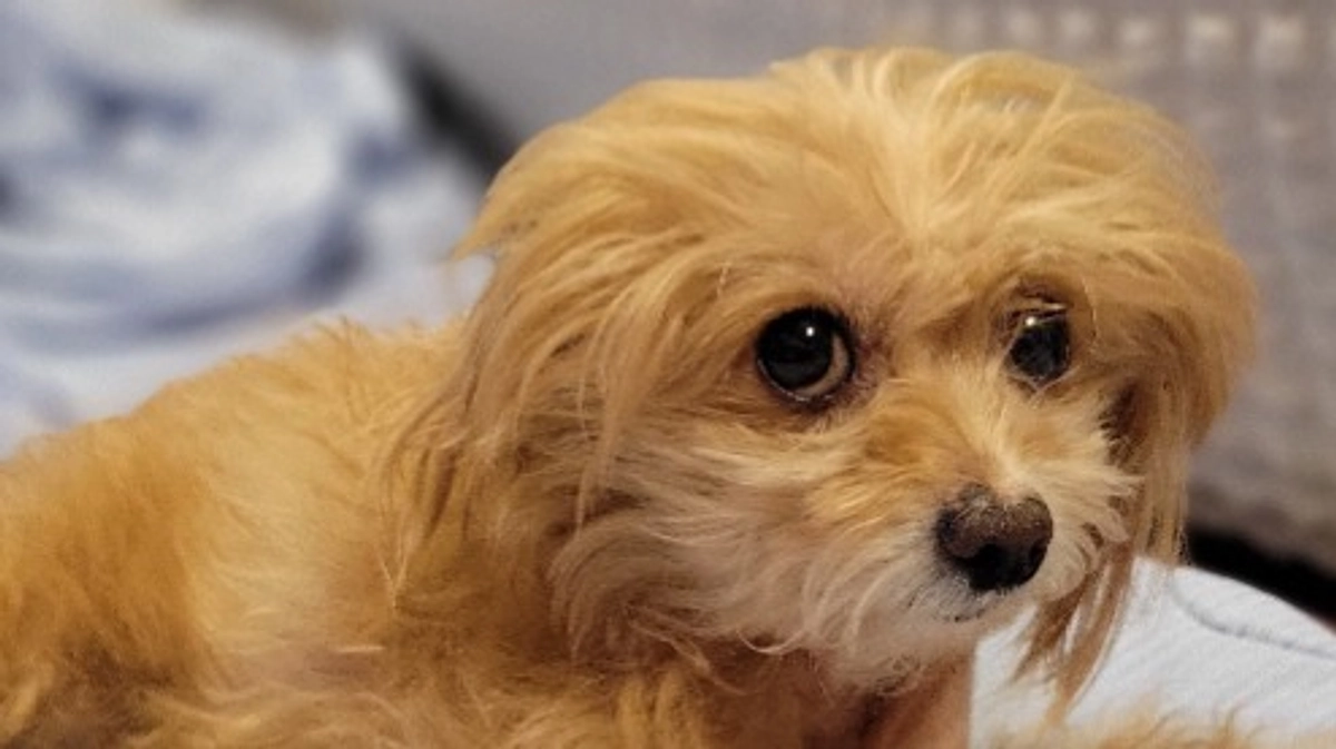 雨で外出できなかったので・・・