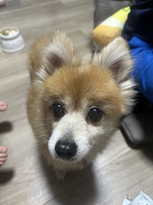 🆘残り3日🆘達成度51％🆘