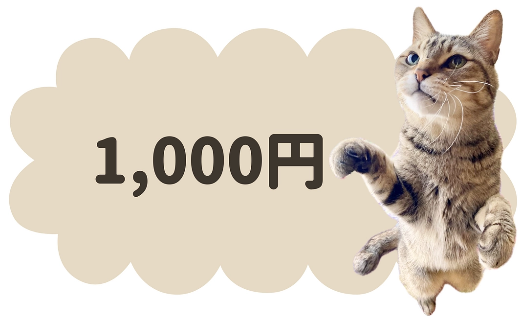 1000円コース