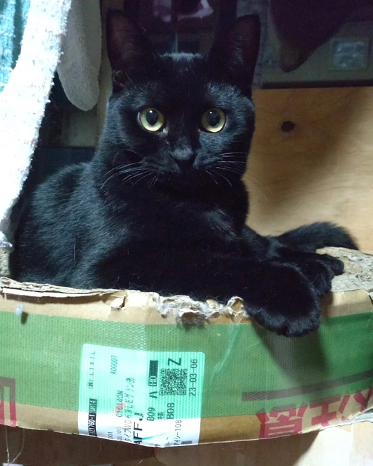 2歳になりました🎉