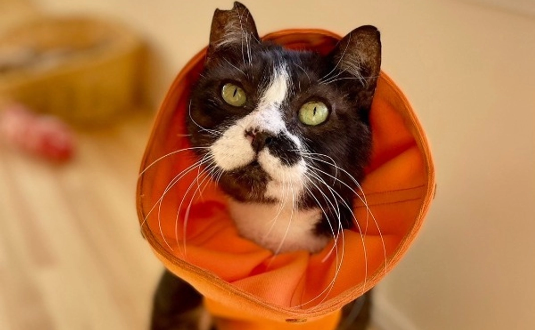 たっちゃんコース