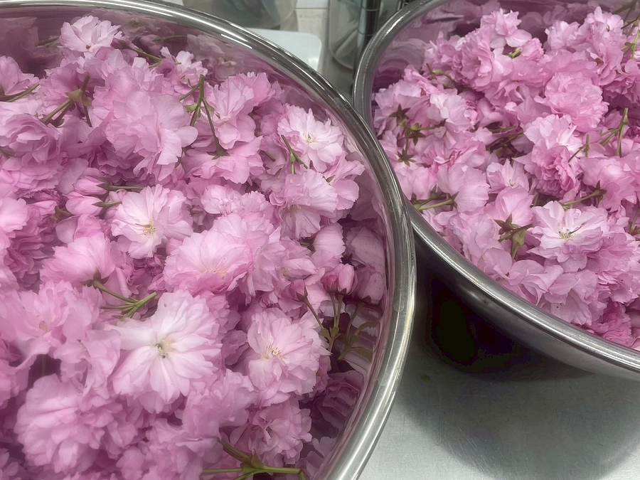 リターンの発送とレシピの進捗のついて