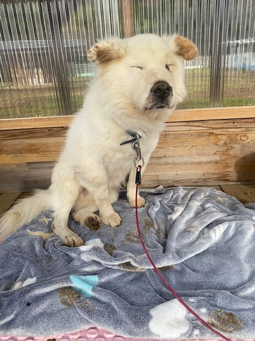 【ご報告】動画を提供していただきました！