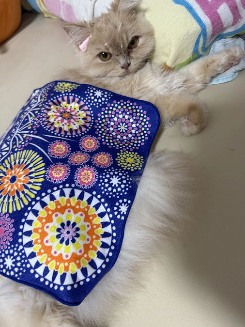 9/9 拘束型心筋症と診断