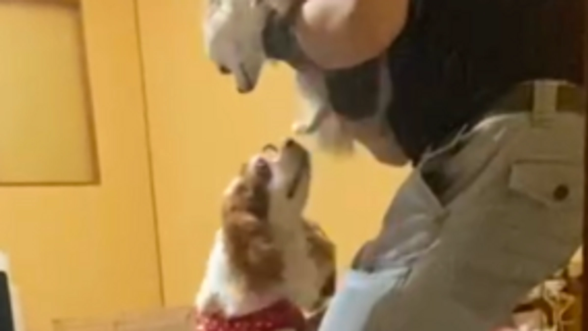 2週間ぶりに退院した虎太郎くん