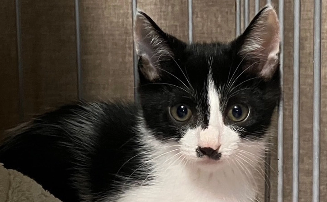 感謝のメール3000