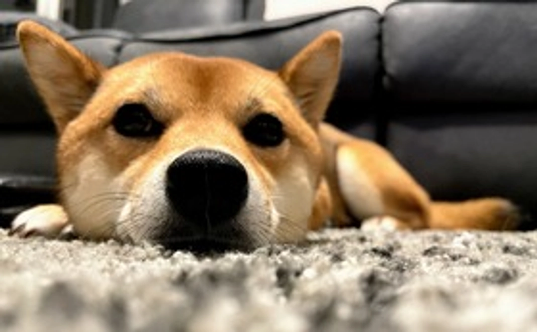 みかんの応援②