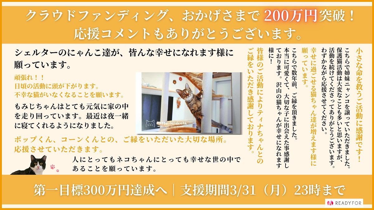 200万円突破しました！第一目標金額300万円突破に向けて引き続き応援よろしくお願いします。