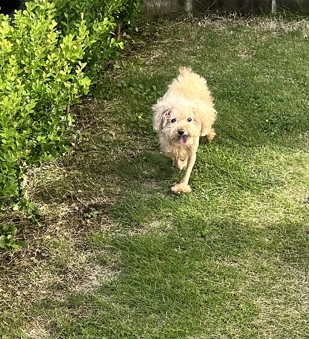 退院しました、ありがとうございました！