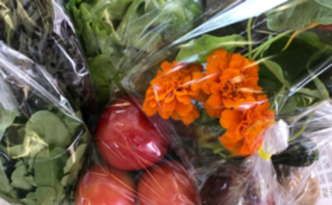 【琴浦の味をお届け】食で応援コース