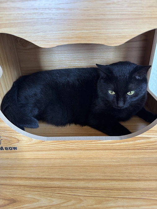 残りも後わずかとなりました