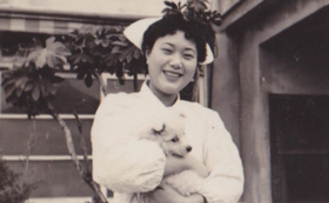 気軽に応援 da コース！