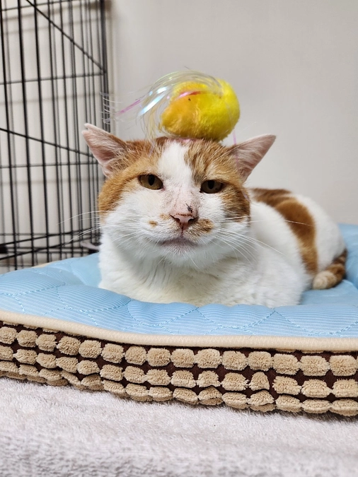 ご支援ありがとうございます！