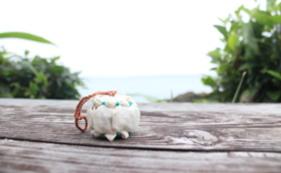 tibutaボンボン+キリバスハート通信