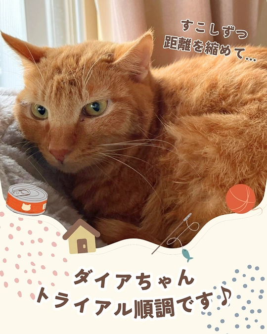 幸せ🍀の片道チケットを手に入れた『ダイヤちゃん』からのご報告💖