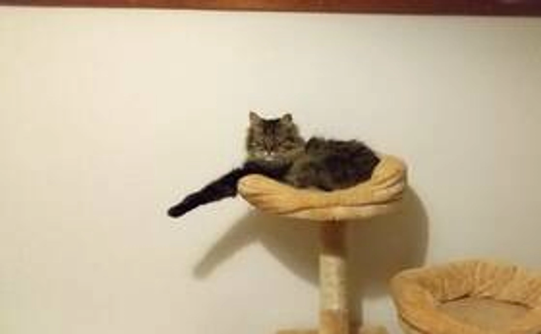 ☆ぽんちゃんの可愛い写真とお礼メール☆