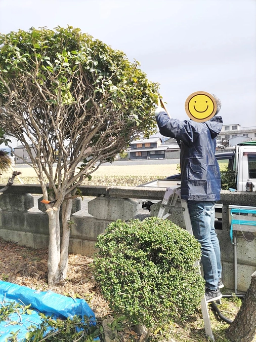 リフォーム始まってます