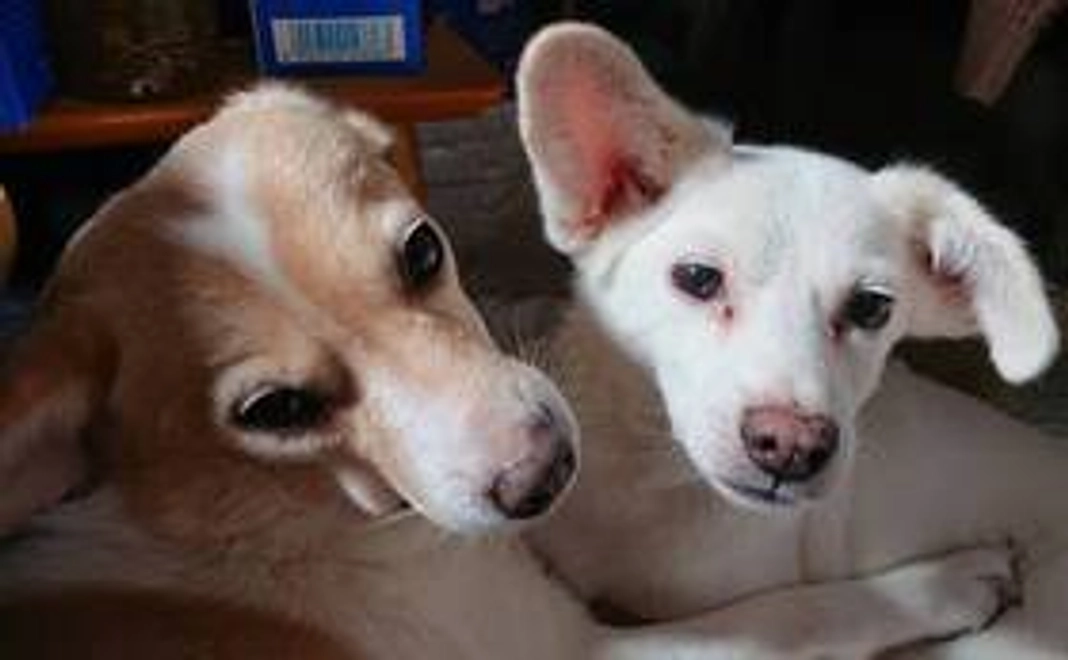 3000円　感謝のお手紙