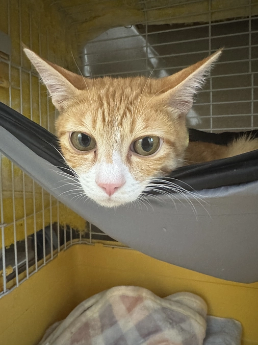 目標金額達成！ネクストゴールへの挑戦