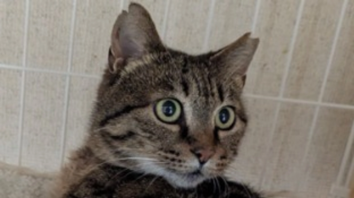 🌹25年　5月のご報告🌹